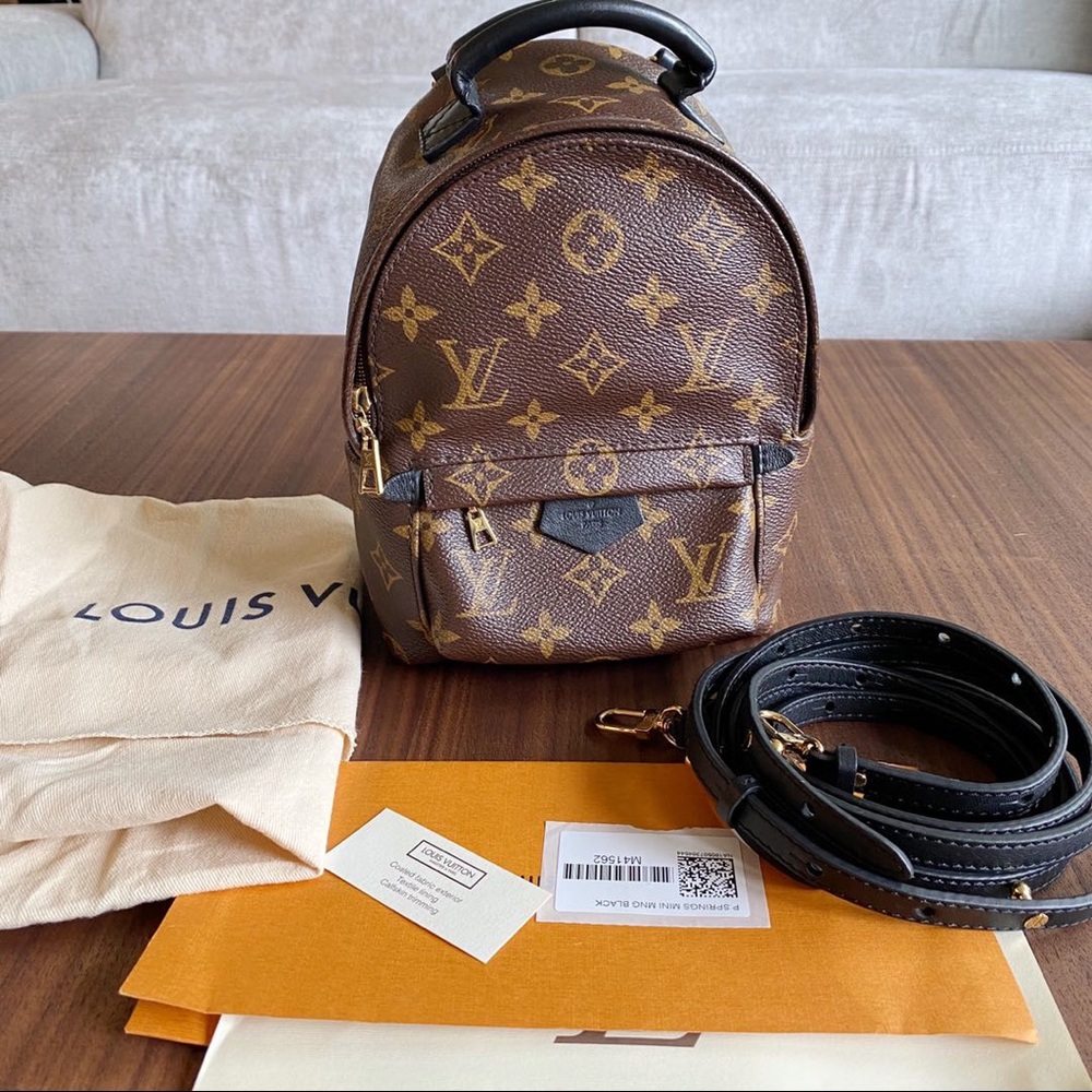 Louis Vuitton Mini Palm Springs Backpack
